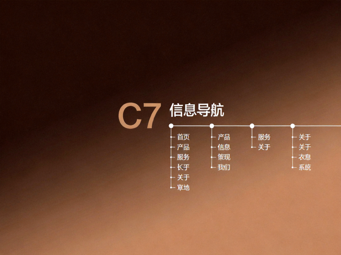 C7官网官方平台信息导航配图：深棕色渐变背景上的C7标识与信息导航字样示意